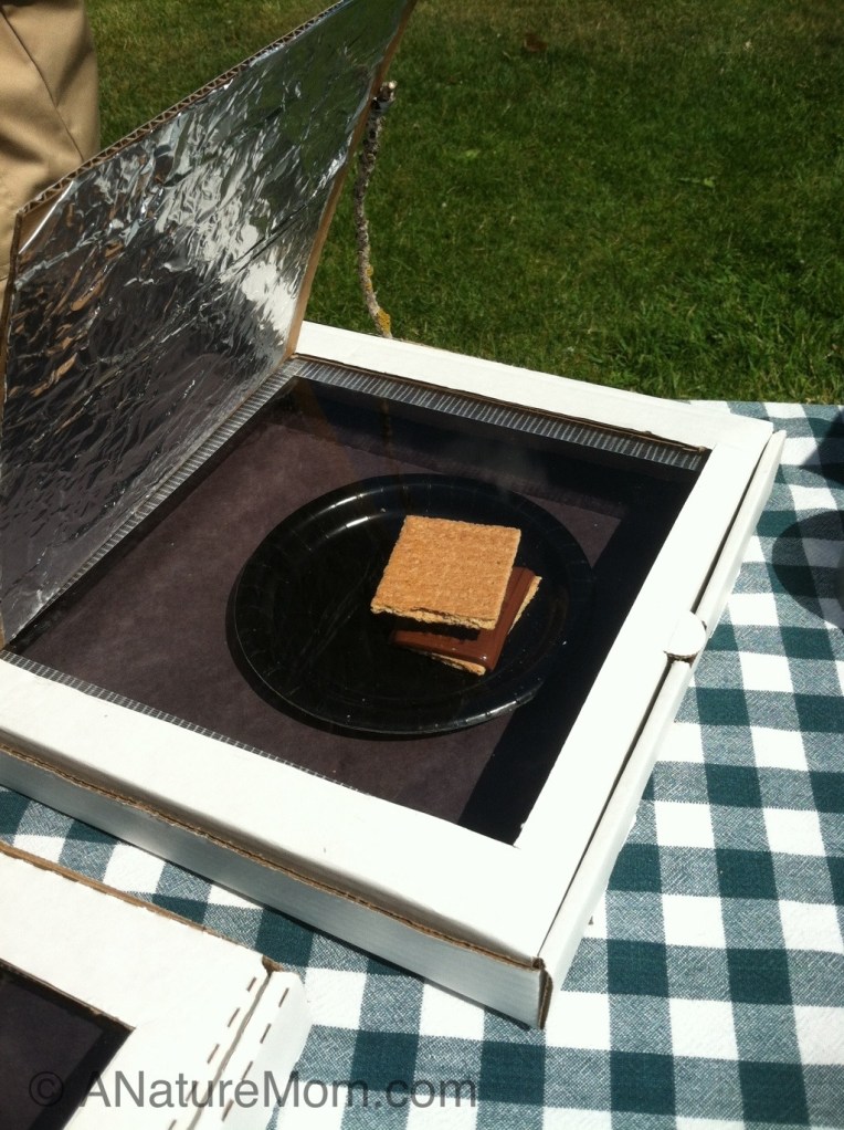 20120606-102433.jpg