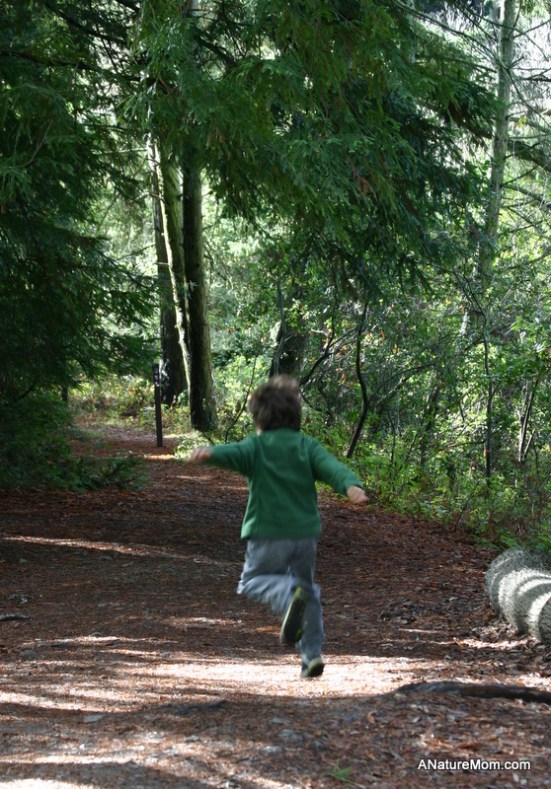 Tilden 076