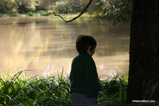 Tilden 079