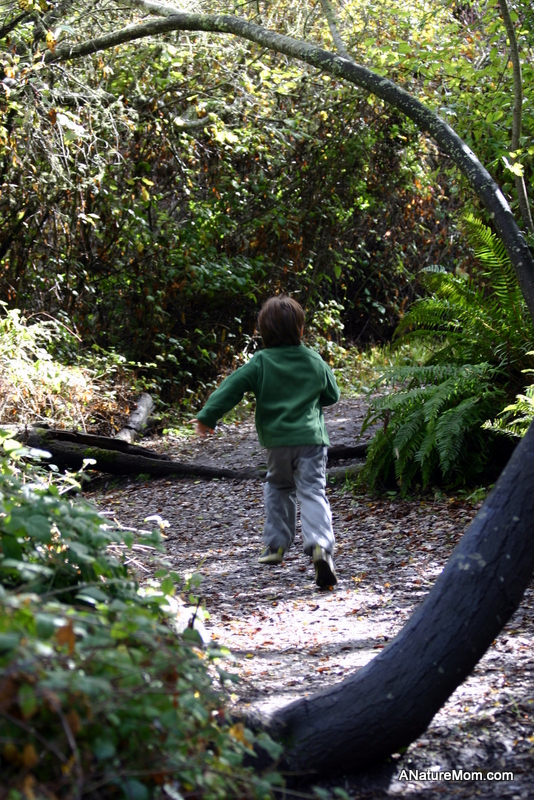 Tilden 083