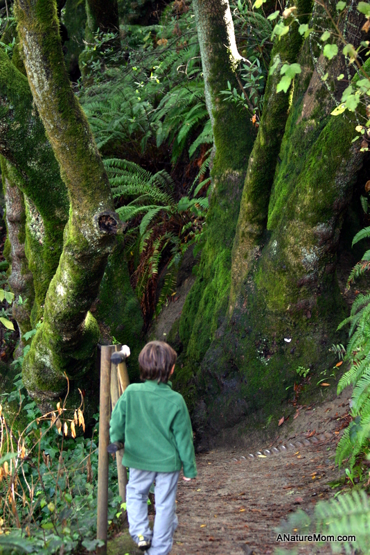 Tilden 096