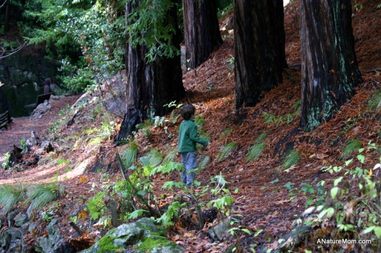 Tilden 126