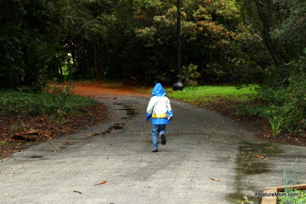 Ardenwood Christmas 004