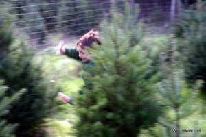 Christmas Tree Farm 009