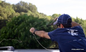 Christmas Tree Farm 045