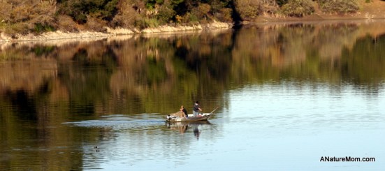 Lake Chabot 006