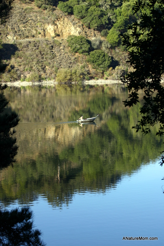 Lake Chabot 013
