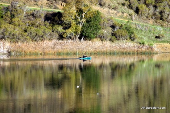 Lake Chabot 016