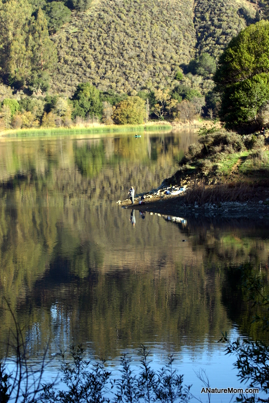 Lake Chabot 020