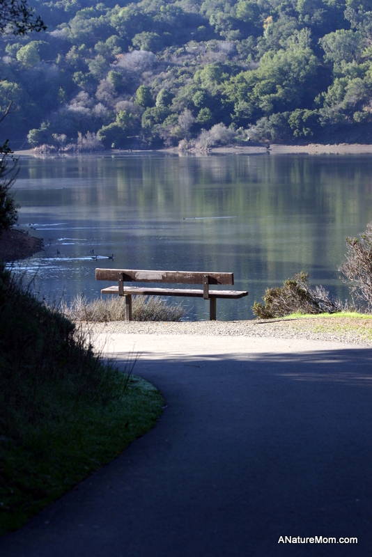 Lake Chabot 091