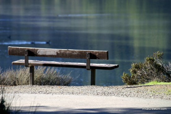 Lake Chabot 092