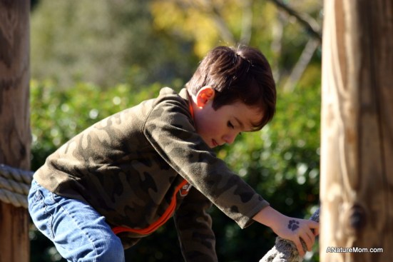 Oakland Zoo 005