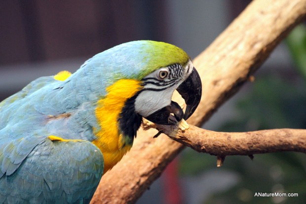 Academy of Sciences 008