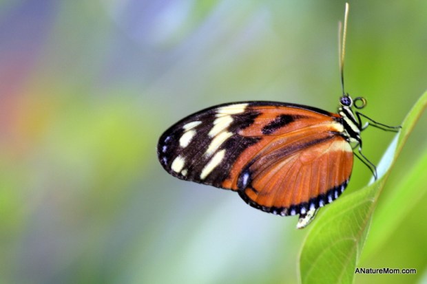 Academy of Sciences 041