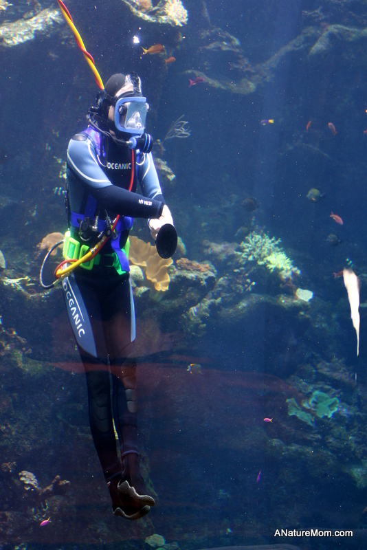 Academy of Sciences 049