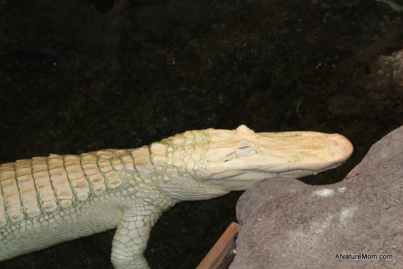 Academy of Sciences 052
