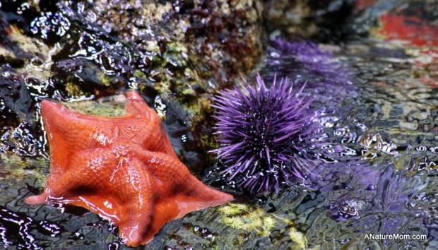 Academy of Sciences 062