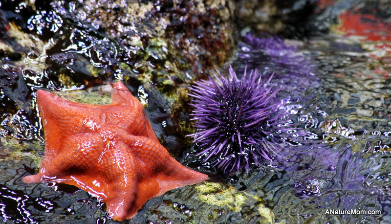 Academy of Sciences 062