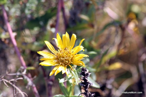 Academy of Sciences 068