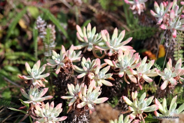 Academy of Sciences 073