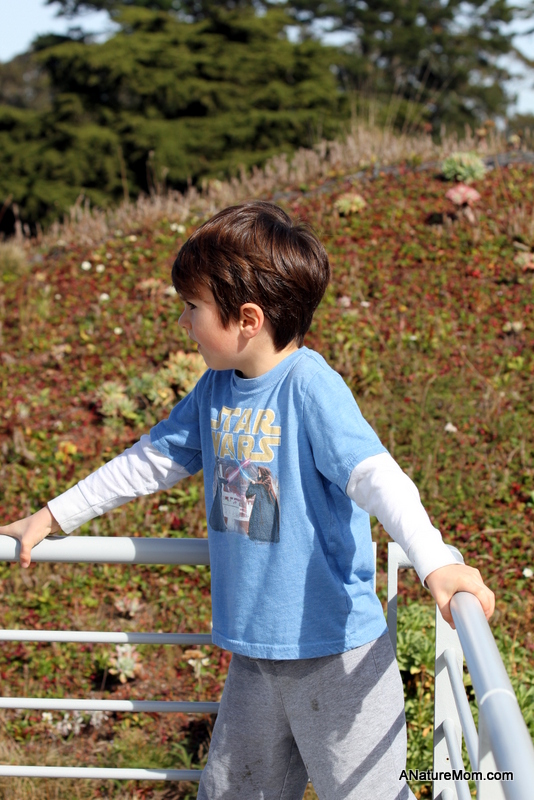 Academy of Sciences 076