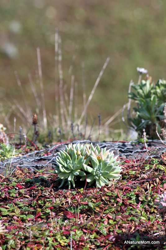 Academy of Sciences 087