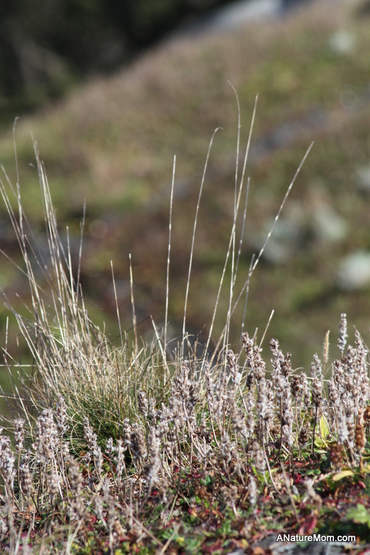 Academy of Sciences 088