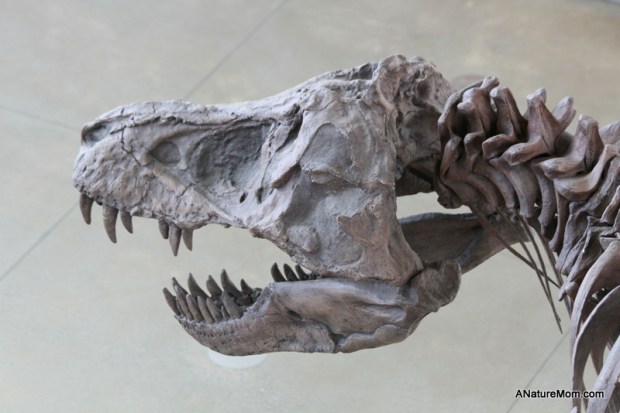 Academy of Sciences 090