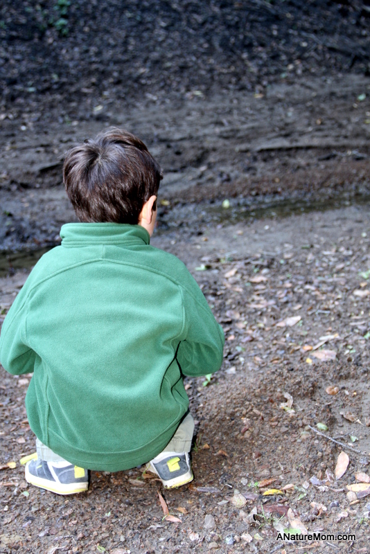 Animal Footprint Walk 004