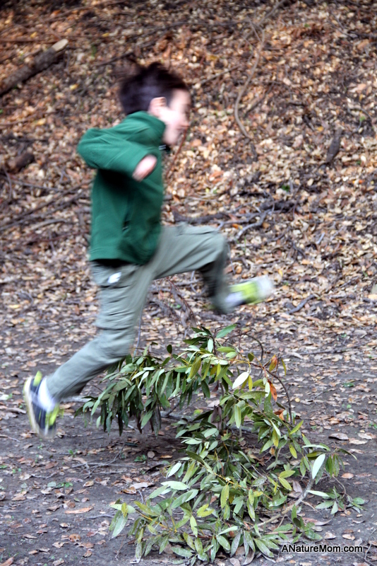 Animal Footprint Walk 023