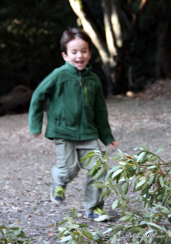 Animal Footprint Walk 024