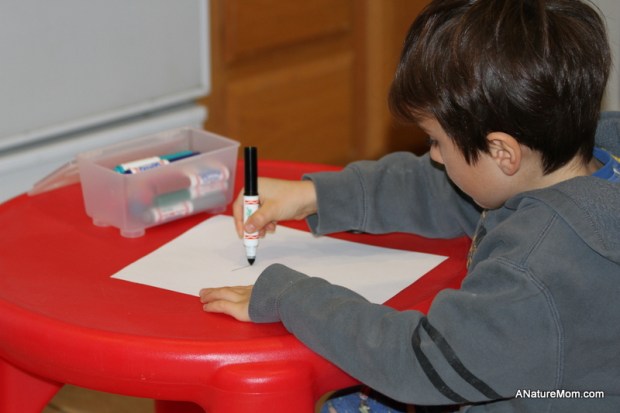 fossil science kit 004