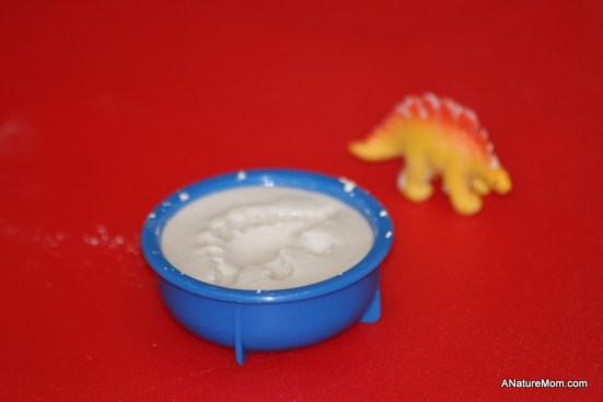 fossil science kit 009