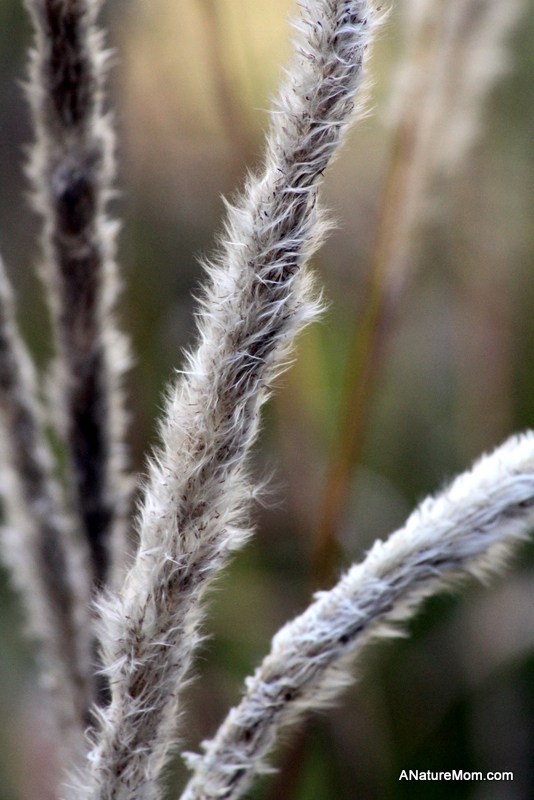 Hap Magee and Tilden 047