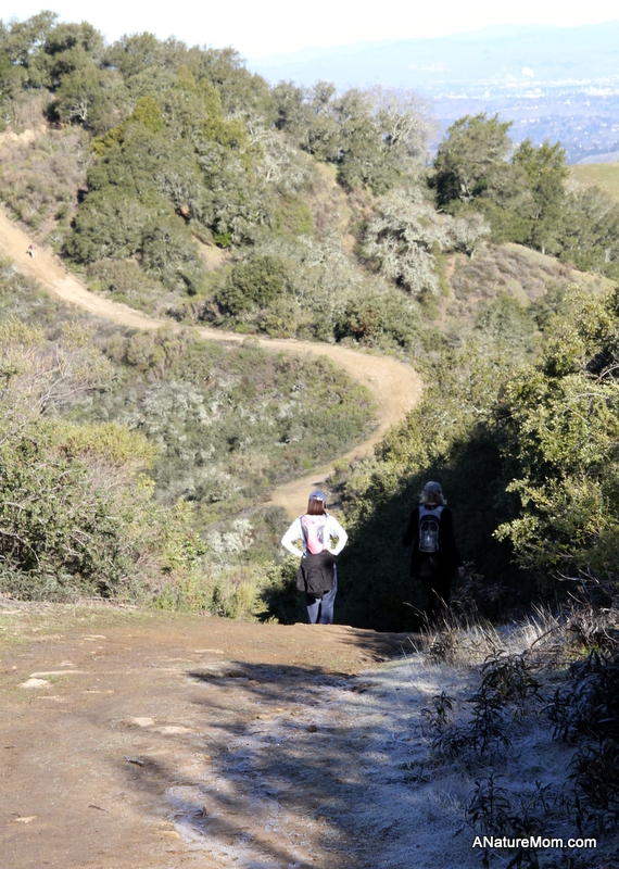 Las Trampas Coyote Hills 013