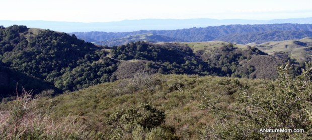 Las Trampas Coyote Hills 015