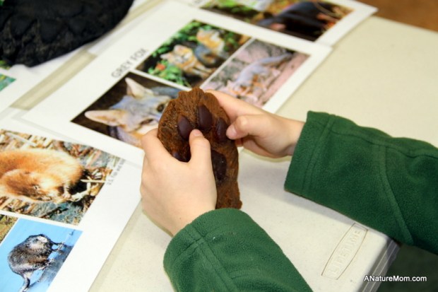 Las Trampas Coyote Hills 053