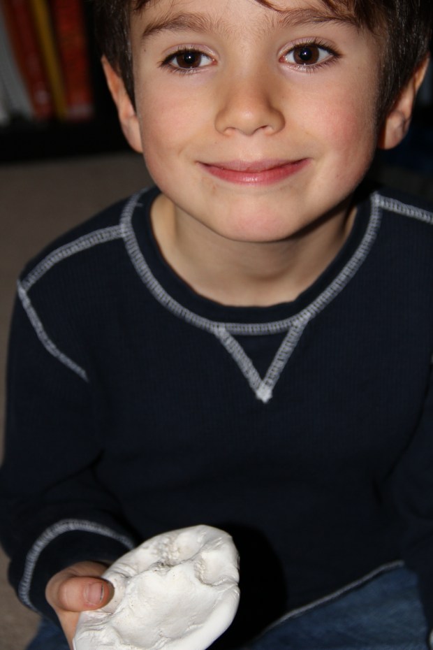 Mountain Lion Print Replica 001