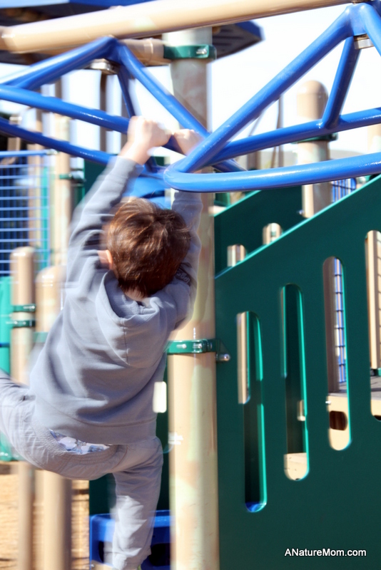 Shannon Park Play 002