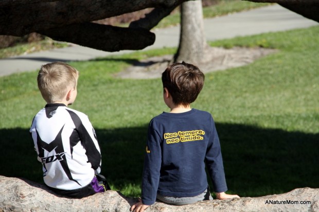 Shannon Park Play 007