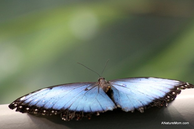 Academy of Sciences 027