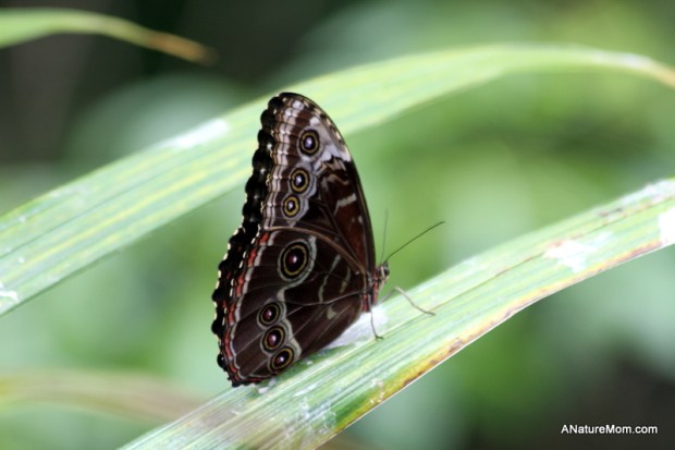 Academy of Sciences 030