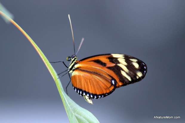 Academy of Sciences 040