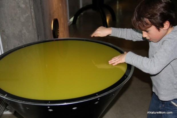 Chabot Space Center 019