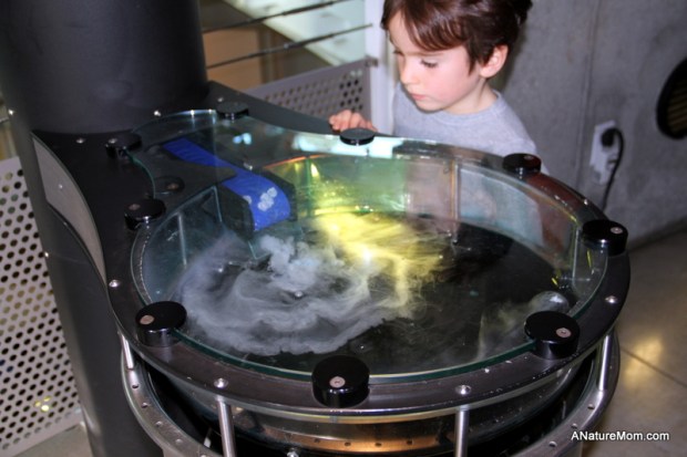 Chabot Space Center 031