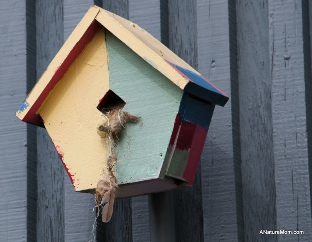 Citiblocs and Birdhouses 001