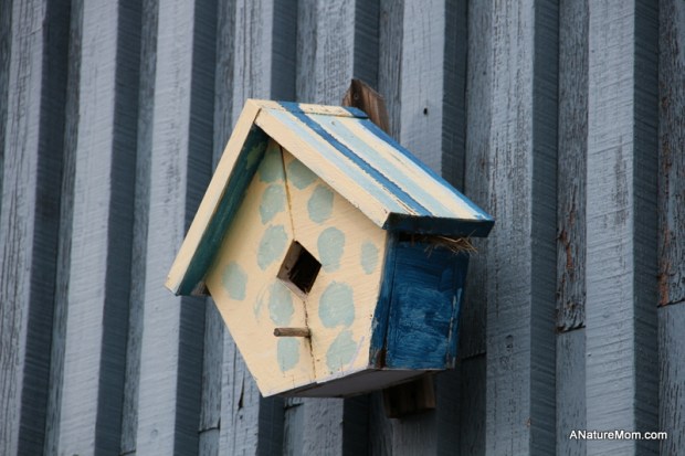 Citiblocs and Birdhouses 002