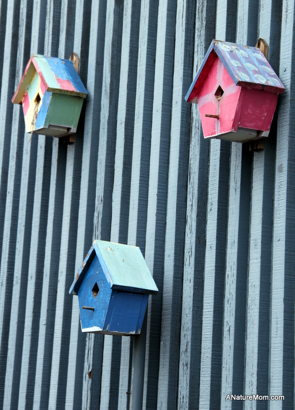 Citiblocs and Birdhouses 003