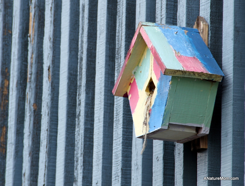 Citiblocs and Birdhouses 004