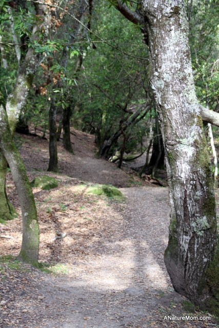 Las Trampas Hike 001